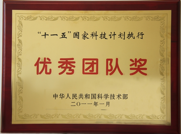 优秀团队奖